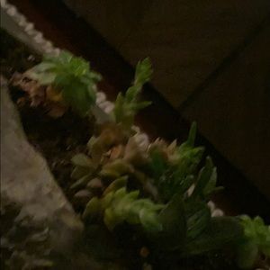 Meet your Posher, Leigh